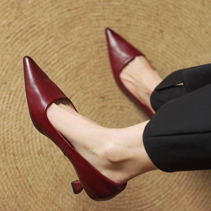 Darcy Rose Elegant Pumps by Modioza